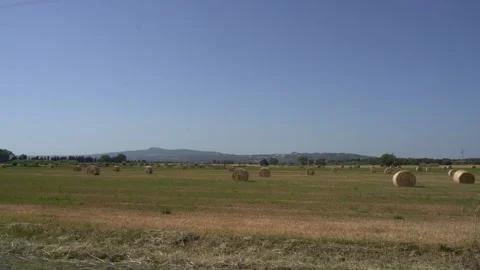 Bales of Hay in open field Vídeo Stock 197631048