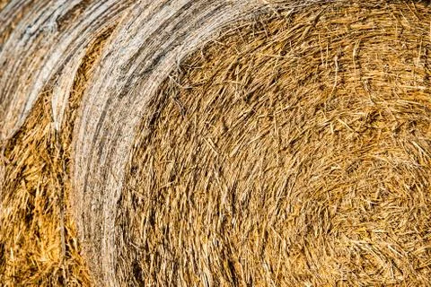 Bales of hay Stock Photos
