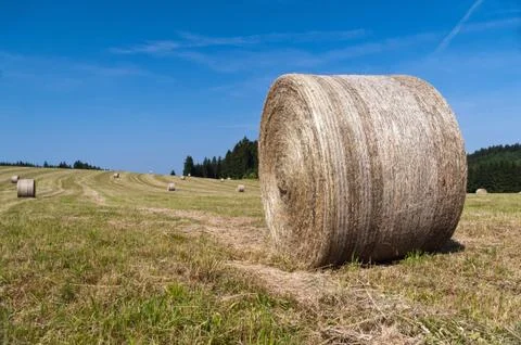 Bales of hay Foto stock