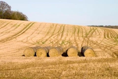 Bales of hay Stock Photos