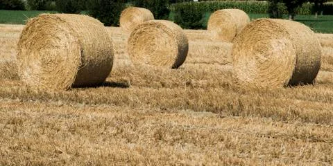 Bales of hay Stock Photos