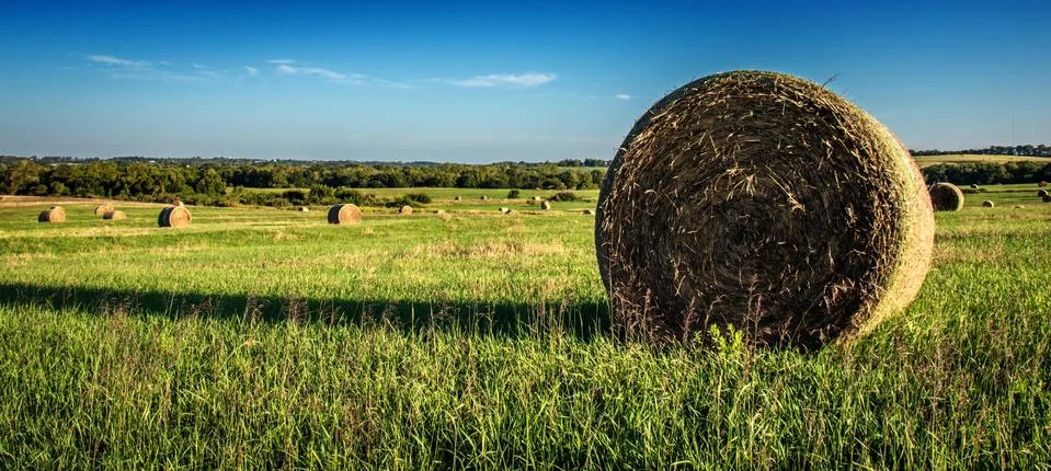 Bales of hay Stock Photos