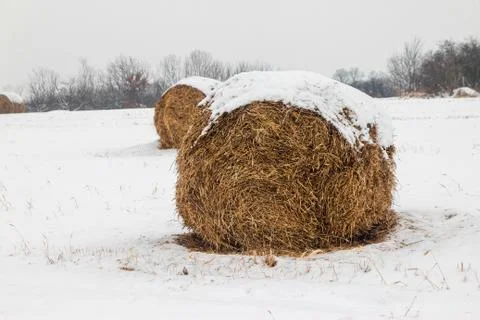 Bales of hay Stock Photos