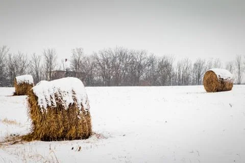 Bales of hay Stock Photos