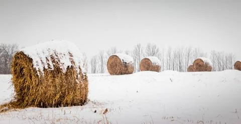 Bales of hay Stock Photos