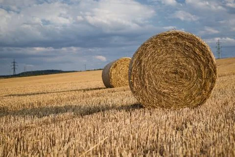 Bales of hay Stock Photos