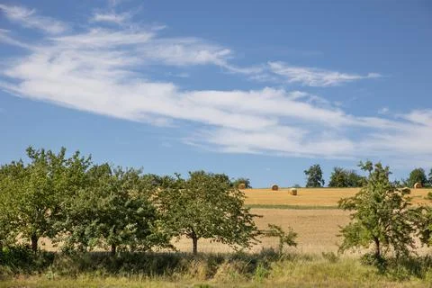 Bales of hay Stock Photos