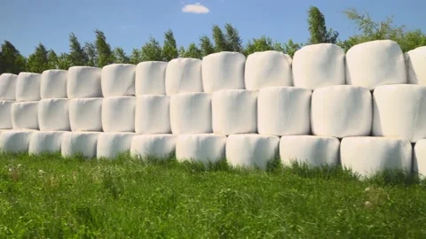 Bales of hay in white plastic packaging are stacked in field. camera is moving. 動画素材 155811669