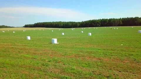 Bales of hay in white plastic packaging are stacked in a field. flight of drone. 動画素材 156474091