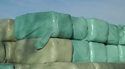 Bales of hay wrapped in polythene blowing in wind Stock Footage 46446736