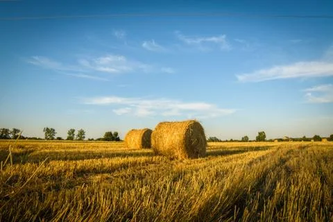 Bales Stock Photos