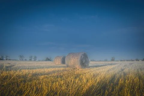 Bales Foto stock