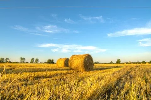 Bales Foto stock