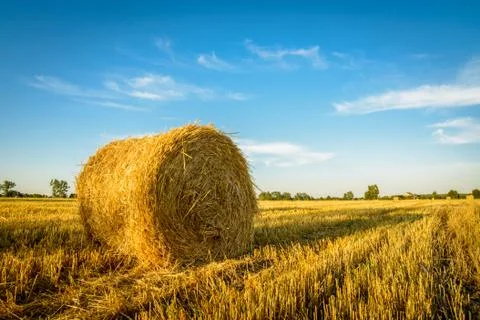 Bales Stock Photos