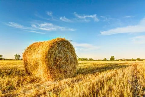 Bales Stock Photos
