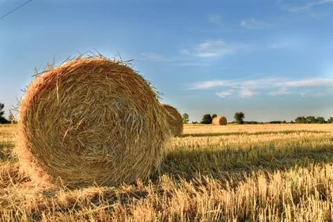 Bales Stock Photos