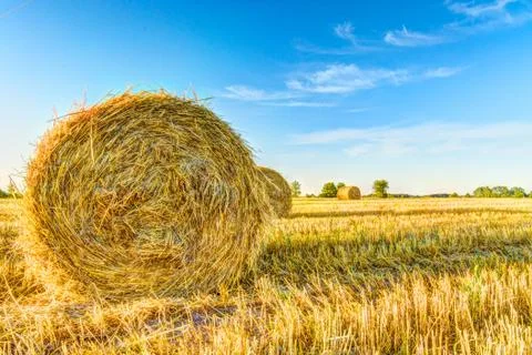 Bales Stock Photos