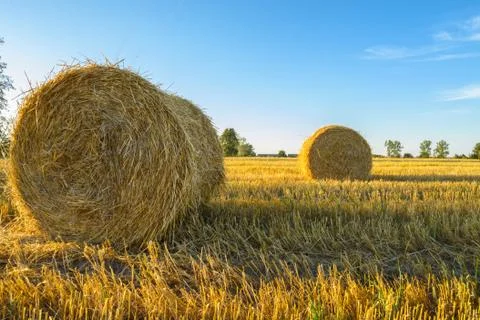 Bales Stock Photos