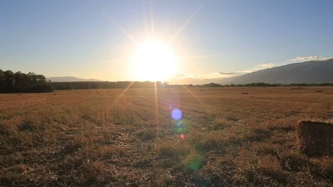 Bales of straw on a field during a sunset Stock Footage 99512064
