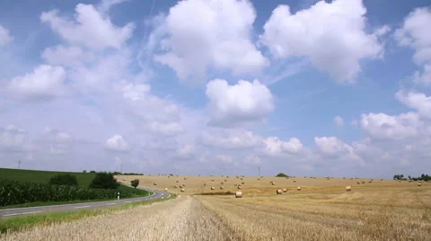 Bales of straw on a field. Stock Footage 40491781