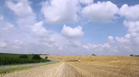 Bales of straw on a field. Stock Footage 40491968
