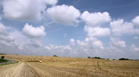 Bales of straw on a field. Stock Footage 40492020