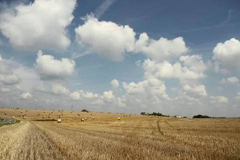 Bales of straw on a field. Stock Photos