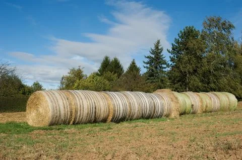 Bales of straw Stock Photos