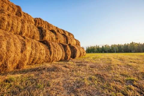 Bales of straw Stock Photos