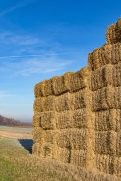 Bales of straw Foto stock