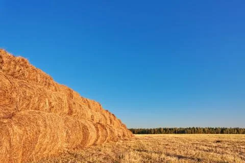 Bales of straw Stock Photos