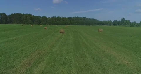 Bales of straw/hay in summer landscape Stock Footage 135969906