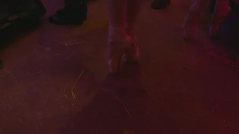 Baley 스톡 동영상 166347158