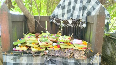 Bali 22 Stock Footage 333226887