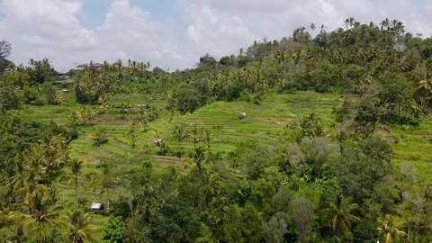 Bali aerial view, ocean mountains and jungle can be seen Stock Footage 126992953