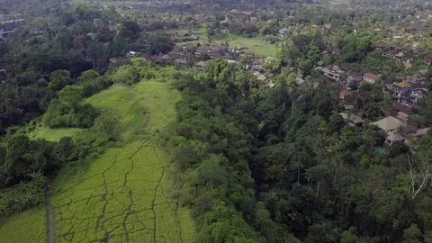 Bali AERIALS 스톡 동영상 101533338