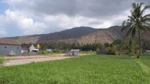 Bali Amed rice fields and mountains by the road. Stock Footage