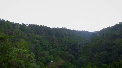 Bali Ariel Stock Footage 73131577