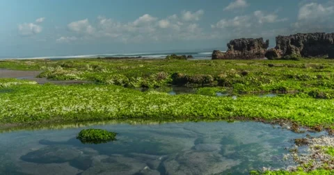 Bali Beach Motionlapse 4k Stock Footage 44366397