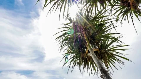 Bali Beach Tilt View Timelapse 4k Stock Footage 70449874