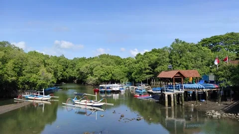Bali boat Stock Footage 210315791