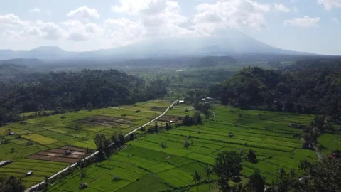 Bali – Bukit Cinta view with rice fields Stock Footage 255271461