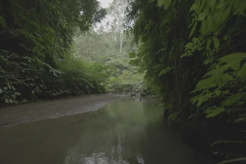 Bali Canyon Stock Footage 246410498