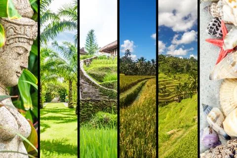 Bali collage Stock Photos