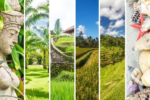 Bali collage Stock Photos