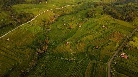 Bali Drone shots Stock Footage 106695259