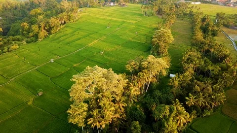 Bali Drone shots Stock Footage 106695925