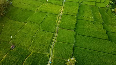 Bali Drone shots Stock Footage 106696267