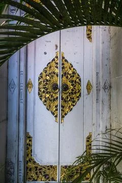 BALI Habitat Stock Photos