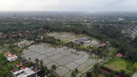 Bali from a height Stock-Footage 104289484